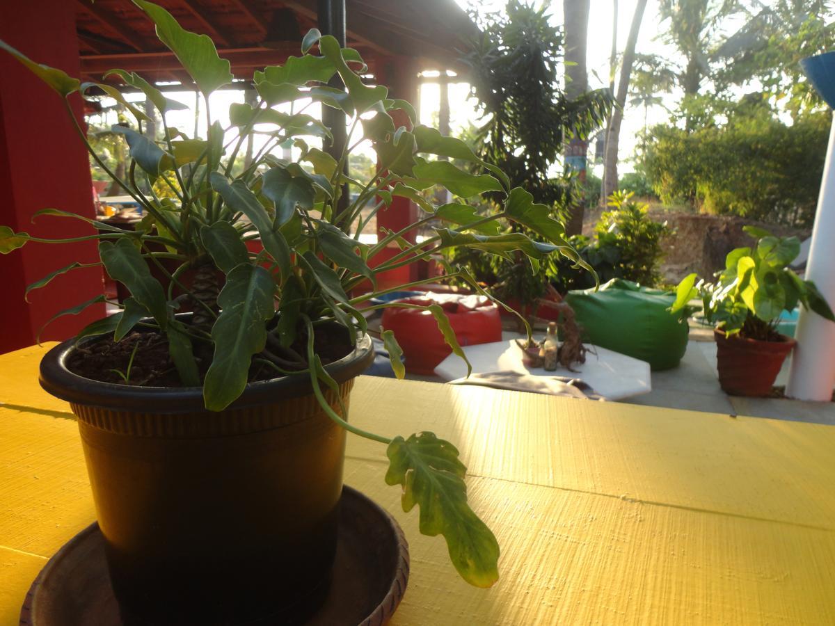 The Yuppi Hippi Female Hostel Anjuna Extérieur photo